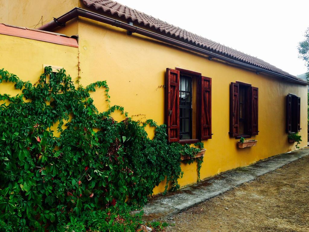 Casa Rural Cachispita Guest House Teror Exterior photo