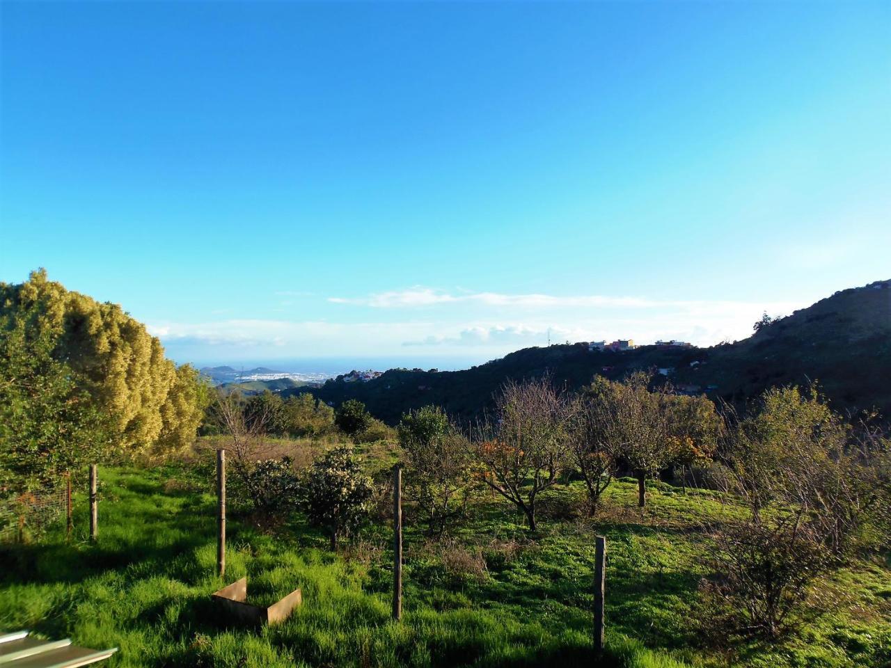 Casa Rural Cachispita Guest House Teror Exterior photo